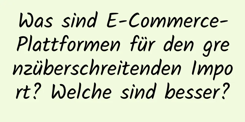 Was sind E-Commerce-Plattformen für den grenzüberschreitenden Import? Welche sind besser?