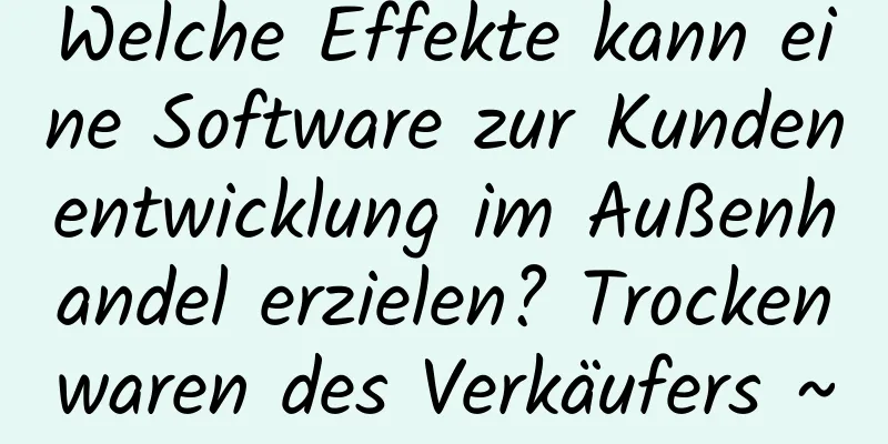 Welche Effekte kann eine Software zur Kundenentwicklung im Außenhandel erzielen? Trockenwaren des Verkäufers ~