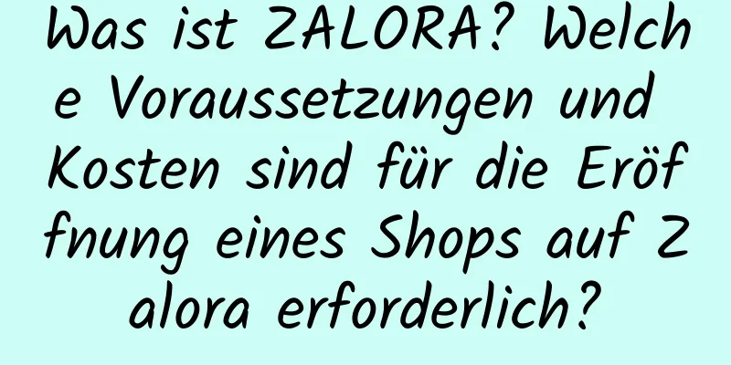 Was ist ZALORA? Welche Voraussetzungen und Kosten sind für die Eröffnung eines Shops auf Zalora erforderlich?