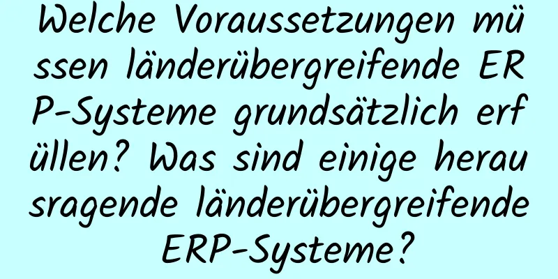 Welche Voraussetzungen müssen länderübergreifende ERP-Systeme grundsätzlich erfüllen? Was sind einige herausragende länderübergreifende ERP-Systeme?