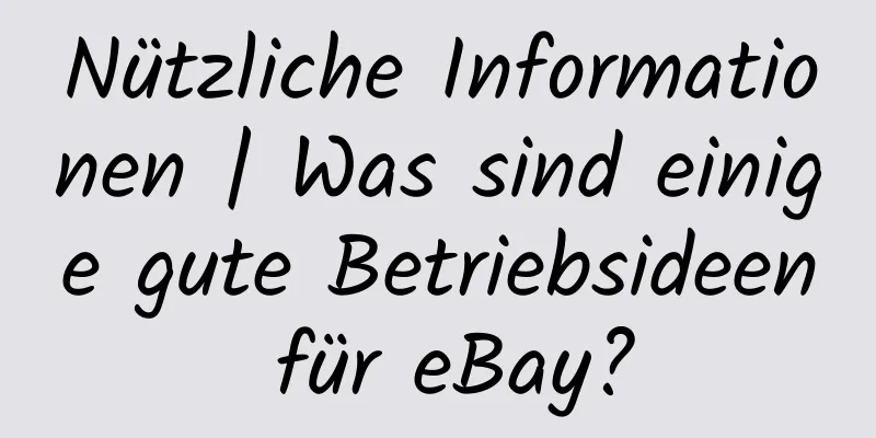 Nützliche Informationen | Was sind einige gute Betriebsideen für eBay?