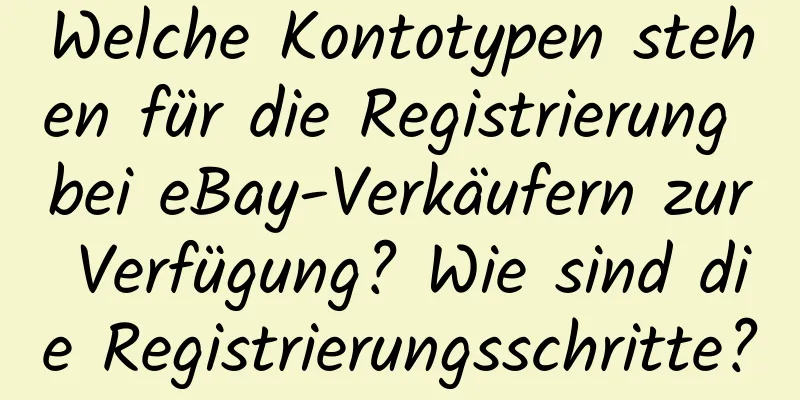 Welche Kontotypen stehen für die Registrierung bei eBay-Verkäufern zur Verfügung? Wie sind die Registrierungsschritte?