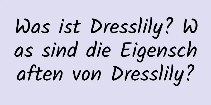 Was ist Dresslily? Was sind die Eigenschaften von Dresslily?