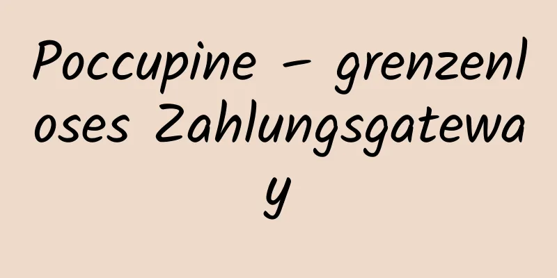 Poccupine – grenzenloses Zahlungsgateway