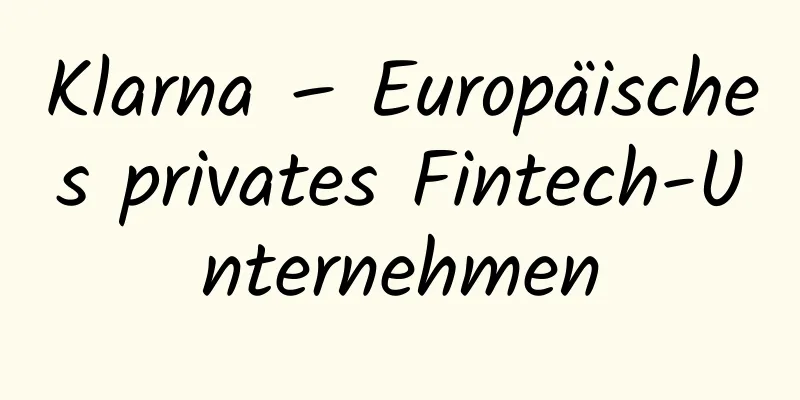 Klarna – Europäisches privates Fintech-Unternehmen