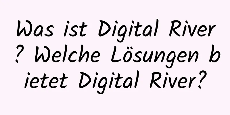 Was ist Digital River? Welche Lösungen bietet Digital River?