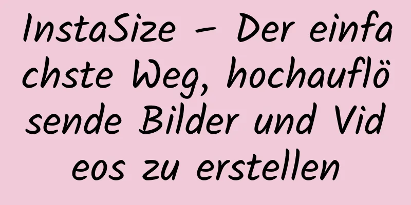 InstaSize – Der einfachste Weg, hochauflösende Bilder und Videos zu erstellen