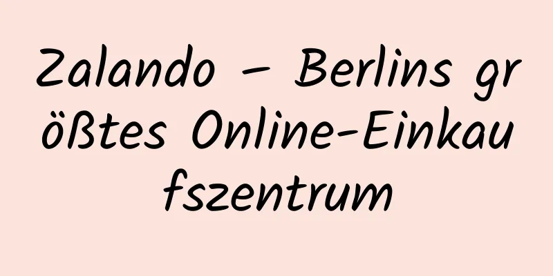 Zalando – Berlins größtes Online-Einkaufszentrum