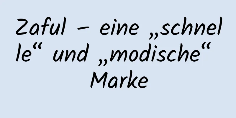 Zaful – eine „schnelle“ und „modische“ Marke