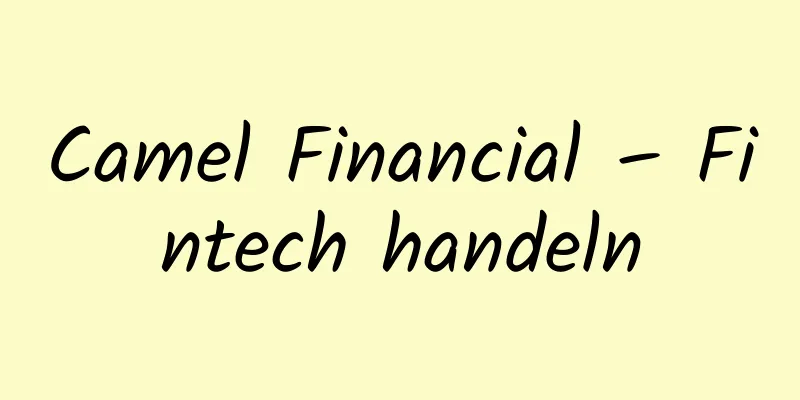 Camel Financial – Fintech handeln