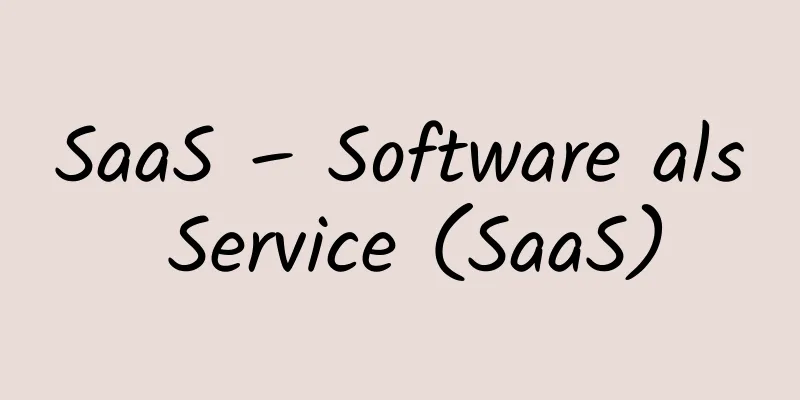 SaaS – Software als Service (SaaS)