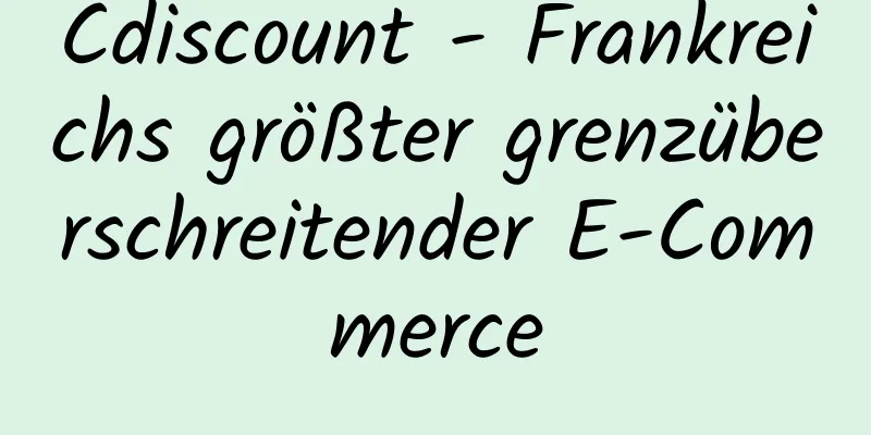 Cdiscount - Frankreichs größter grenzüberschreitender E-Commerce