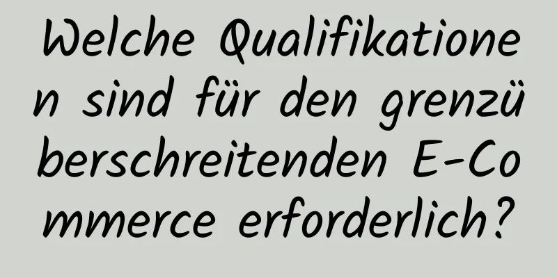 Welche Qualifikationen sind für den grenzüberschreitenden E-Commerce erforderlich?