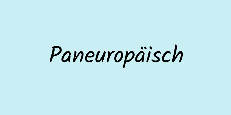 Paneuropäisch