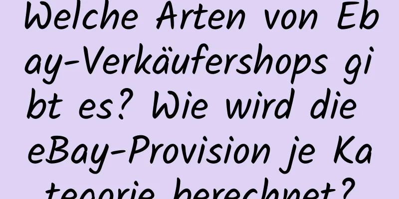 Welche Arten von Ebay-Verkäufershops gibt es? Wie wird die eBay-Provision je Kategorie berechnet?