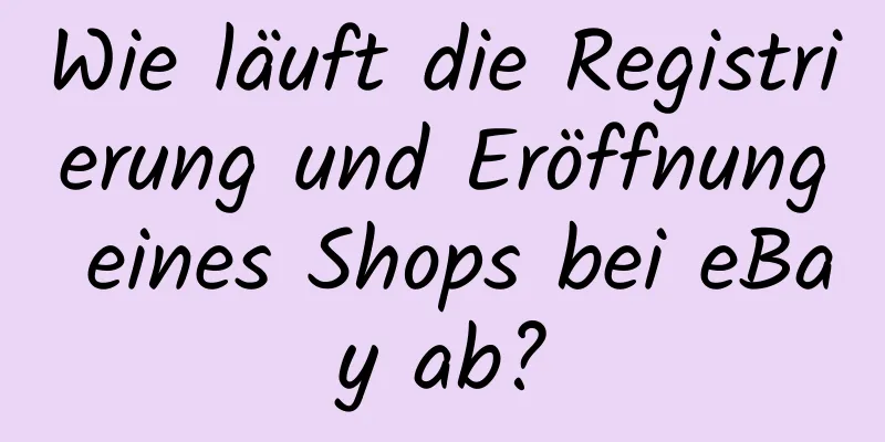 Wie läuft die Registrierung und Eröffnung eines Shops bei eBay ab?