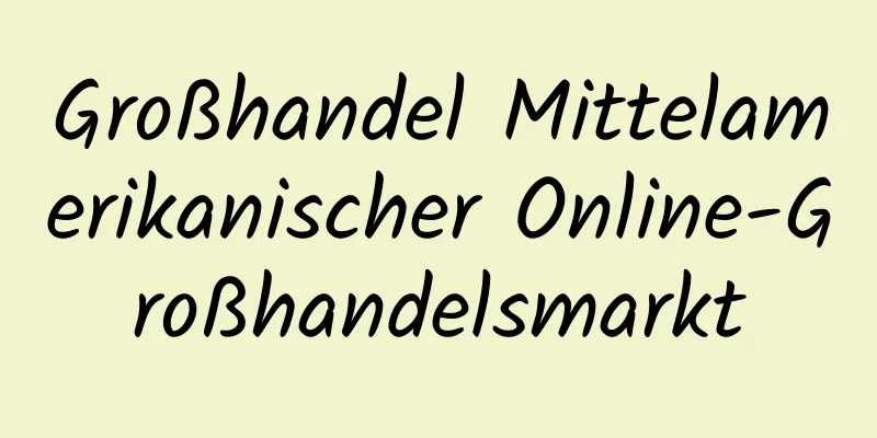 Großhandel Mittelamerikanischer Online-Großhandelsmarkt