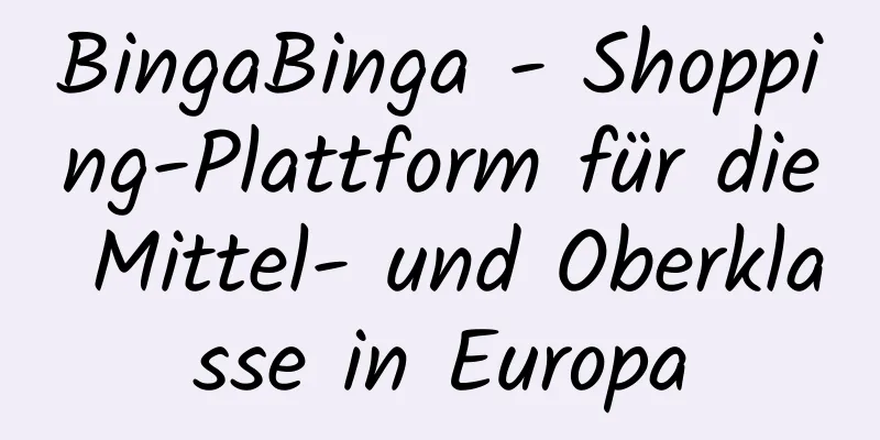 BingaBinga - Shopping-Plattform für die Mittel- und Oberklasse in Europa