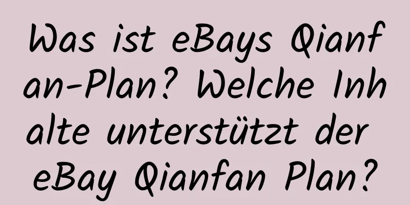 Was ist eBays Qianfan-Plan? Welche Inhalte unterstützt der eBay Qianfan Plan?