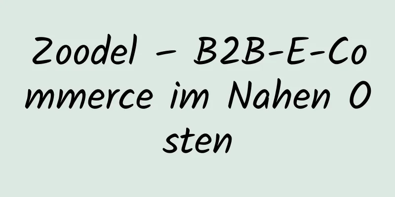 Zoodel – B2B-E-Commerce im Nahen Osten