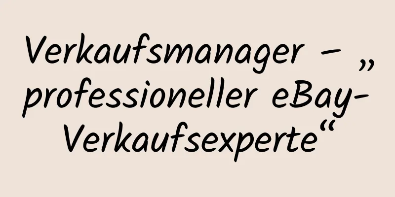 Verkaufsmanager – „professioneller eBay-Verkaufsexperte“