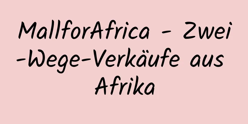 MallforAfrica - Zwei-Wege-Verkäufe aus Afrika