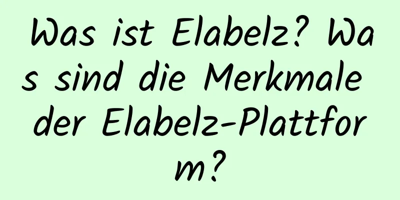 Was ist Elabelz? Was sind die Merkmale der Elabelz-Plattform?