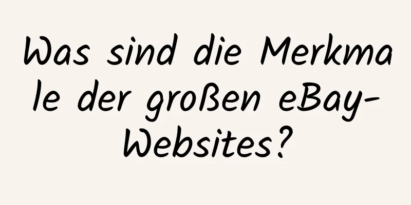 Was sind die Merkmale der großen eBay-Websites?