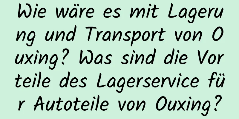 Wie wäre es mit Lagerung und Transport von Ouxing? Was sind die Vorteile des Lagerservice für Autoteile von Ouxing?