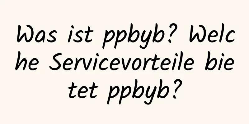 Was ist ppbyb? Welche Servicevorteile bietet ppbyb?