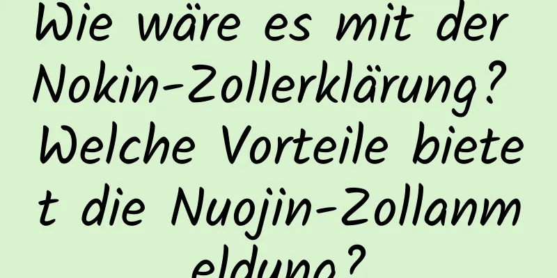 Wie wäre es mit der Nokin-Zollerklärung? Welche Vorteile bietet die Nuojin-Zollanmeldung?