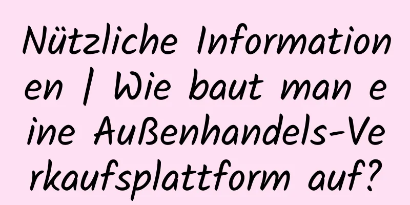 Nützliche Informationen | Wie baut man eine Außenhandels-Verkaufsplattform auf?