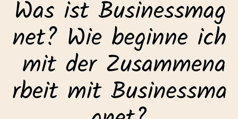 Was ist Businessmagnet? Wie beginne ich mit der Zusammenarbeit mit Businessmagnet?