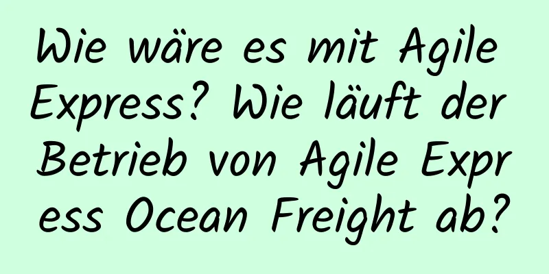 Wie wäre es mit Agile Express? Wie läuft der Betrieb von Agile Express Ocean Freight ab?