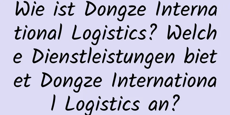 Wie ist Dongze International Logistics? Welche Dienstleistungen bietet Dongze International Logistics an?