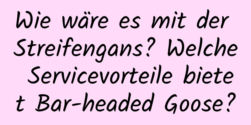 Wie wäre es mit der Streifengans? Welche Servicevorteile bietet Bar-headed Goose?