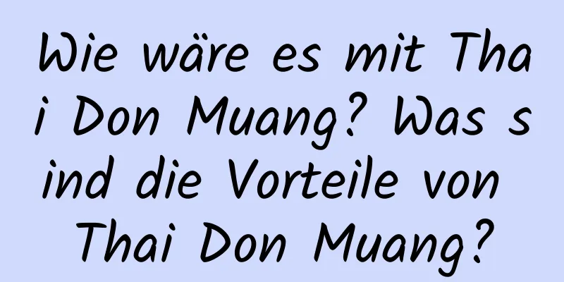 Wie wäre es mit Thai Don Muang? Was sind die Vorteile von Thai Don Muang?