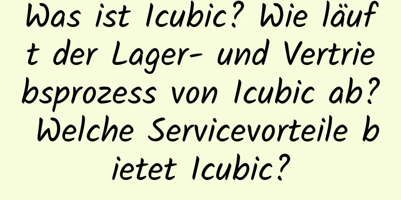 Was ist Icubic? Wie läuft der Lager- und Vertriebsprozess von Icubic ab? Welche Servicevorteile bietet Icubic?