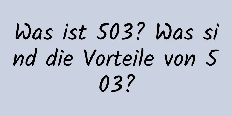 Was ist 503? Was sind die Vorteile von 503?