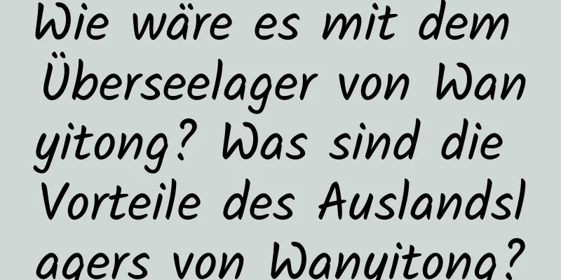 Wie wäre es mit dem Überseelager von Wanyitong? Was sind die Vorteile des Auslandslagers von Wanyitong?