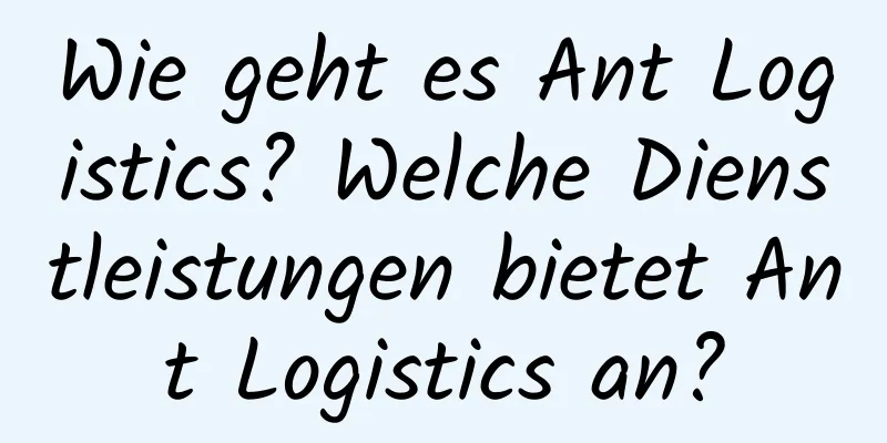 Wie geht es Ant Logistics? Welche Dienstleistungen bietet Ant Logistics an?