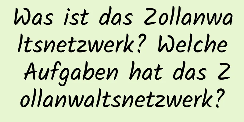 Was ist das Zollanwaltsnetzwerk? Welche Aufgaben hat das Zollanwaltsnetzwerk?