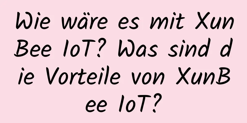 Wie wäre es mit XunBee IoT? Was sind die Vorteile von XunBee IoT?