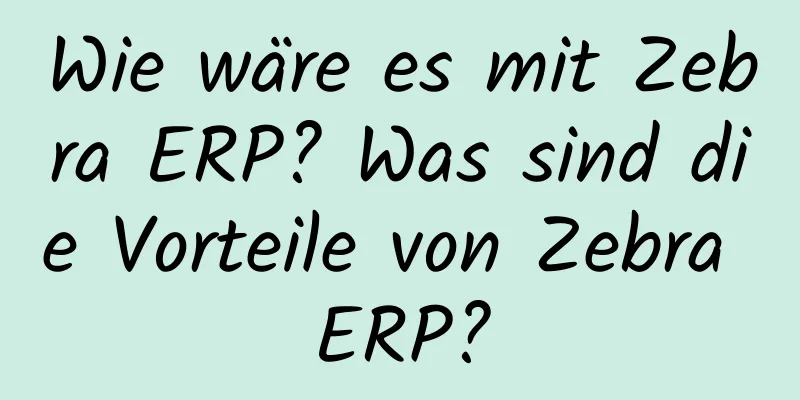 Wie wäre es mit Zebra ERP? Was sind die Vorteile von Zebra ERP?