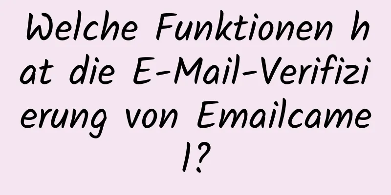 Welche Funktionen hat die E-Mail-Verifizierung von Emailcamel?