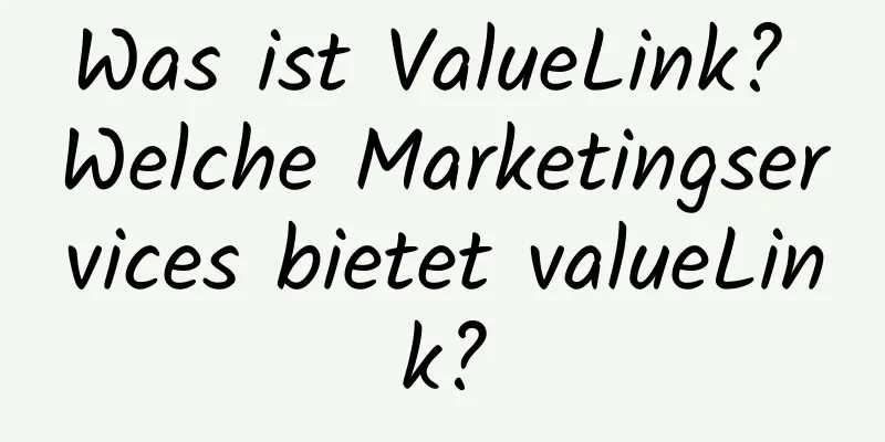 Was ist ValueLink? Welche Marketingservices bietet valueLink?