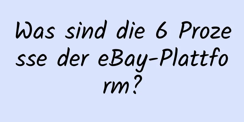 Was sind die 6 Prozesse der eBay-Plattform?