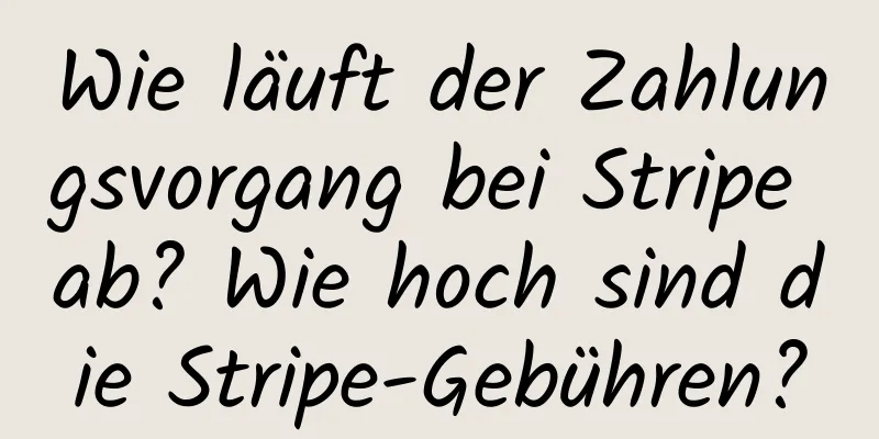 Wie läuft der Zahlungsvorgang bei Stripe ab? Wie hoch sind die Stripe-Gebühren?