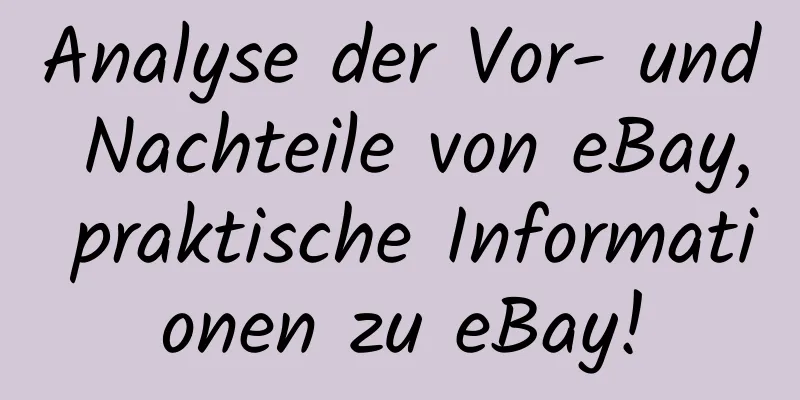 Analyse der Vor- und Nachteile von eBay, praktische Informationen zu eBay!