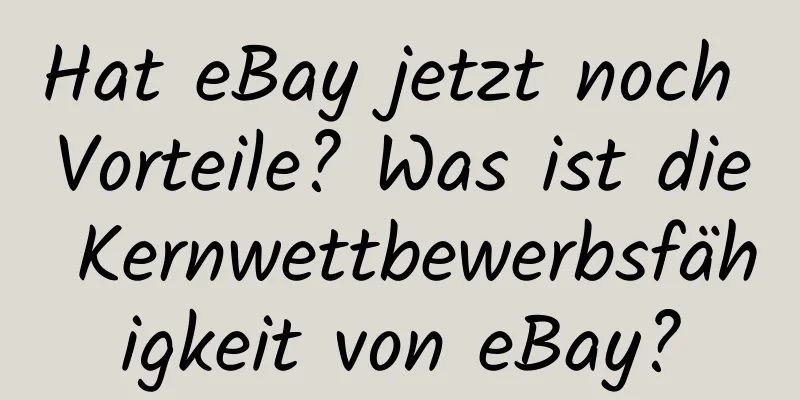 Hat eBay jetzt noch Vorteile? Was ist die Kernwettbewerbsfähigkeit von eBay?